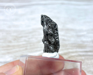 Campo del Cielo Meteorite #1