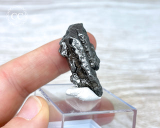 Campo del Cielo Meteorite #1