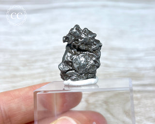 Campo del Cielo Meteorite #2