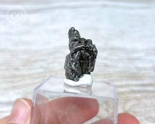 Campo del Cielo Meteorite #2