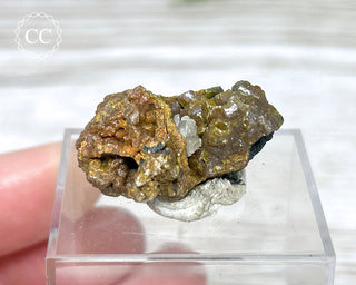 Campylite Specimen - England #1