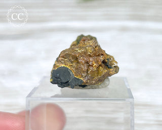 Campylite Specimen - England #1