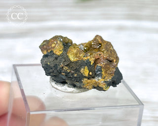 Campylite Specimen - England #1