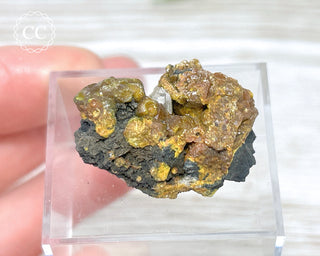 Campylite Specimen - England #1