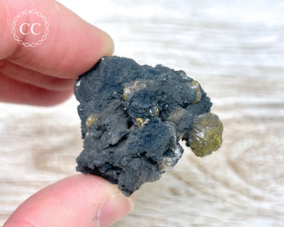 Campylite Specimen - England #1