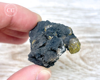 Campylite Specimen - England #1