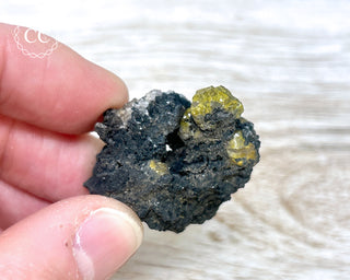 Campylite Specimen - England #1