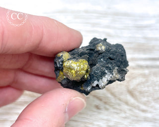 Campylite Specimen - England #1