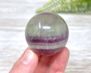 Candy Fluorite Sphere #3