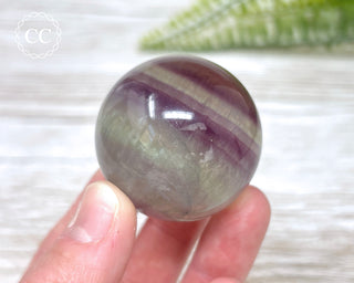 Candy Fluorite Sphere #3