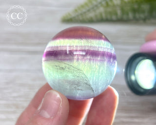 Candy Fluorite Sphere #3