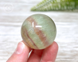 Candy Fluorite Sphere #5