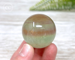 Candy Fluorite Sphere #5