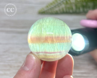 Candy Fluorite Sphere #5