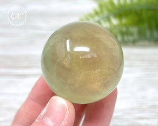 Candy Fluorite Sphere #1