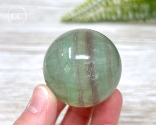 Candy Fluorite Sphere #6