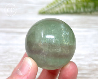 Candy Fluorite Sphere #6