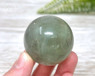 Candy Fluorite Sphere #6