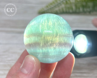 Candy Fluorite Sphere #6