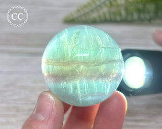 Candy Fluorite Sphere #6