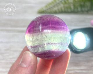 Candy Fluorite Sphere #8