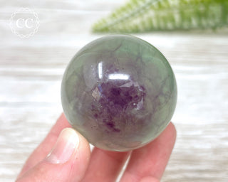 Candy Fluorite Sphere #9