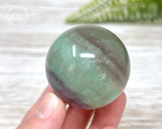 Candy Fluorite Sphere #9