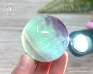 Candy Fluorite Sphere #9