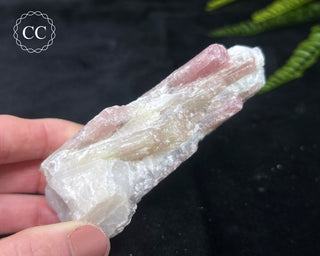 Candy Tourmaline | Ombre Tourmaline #8