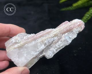 Candy Tourmaline | Ombre Tourmaline #8