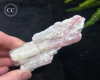 Candy Tourmaline | Ombre Tourmaline #8