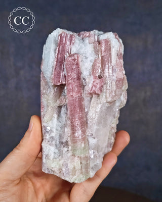 A hand holding a soft candy coloured, ombre Tourmaline specimen Brazil