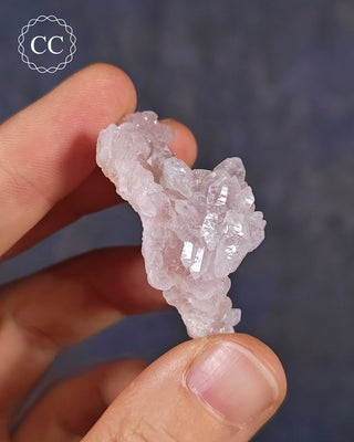 A hand holding a rare Canga Rosa specimen, also known as Crystallised Rose Quartz specimen
