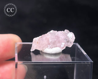 Canga Rosa - Crystallised Rose Quartz #14