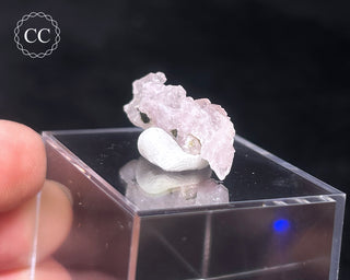 Canga Rosa - Crystallised Rose Quartz #14