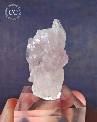 Canga Rosa - Crystallised Rose Quartz on stand