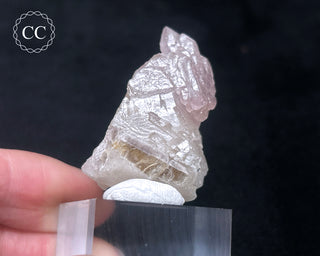 Canga Rosa - Crystallised Rose Quartz #2
