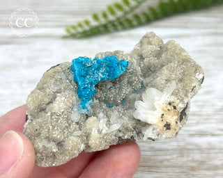 Cavansite Specimen #1