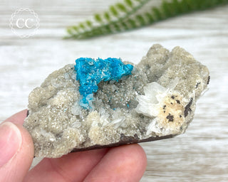 Cavansite Specimen #1