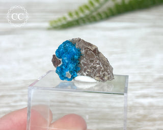 Cavansite Specimen #5