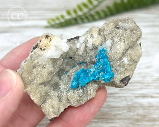 Cavansite Specimen #1