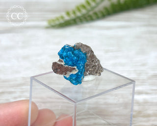 Cavansite Specimen #5