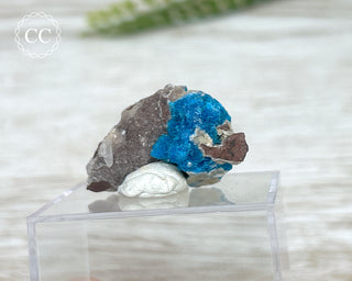 Cavansite Specimen #5