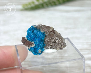 Cavansite Specimen #5