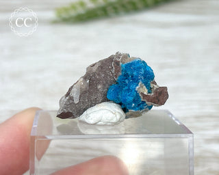 Cavansite Specimen #5