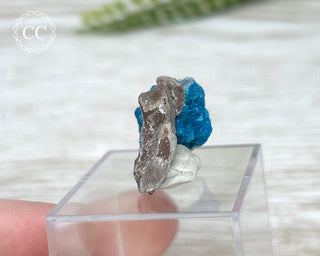 Cavansite Specimen #5