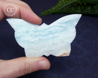 Caribbean Calcite Butterfly #7
