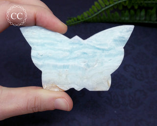 Caribbean Calcite Butterfly #9