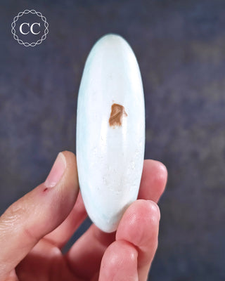Caribbean Calcite Large Palmstone #4