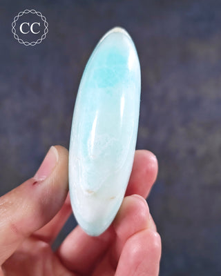 Caribbean Calcite Large Palmstone #2